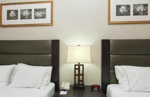 Holiday Inn Express Hotel & Suites Ottawa Airport By Ihg Zimmer foto
